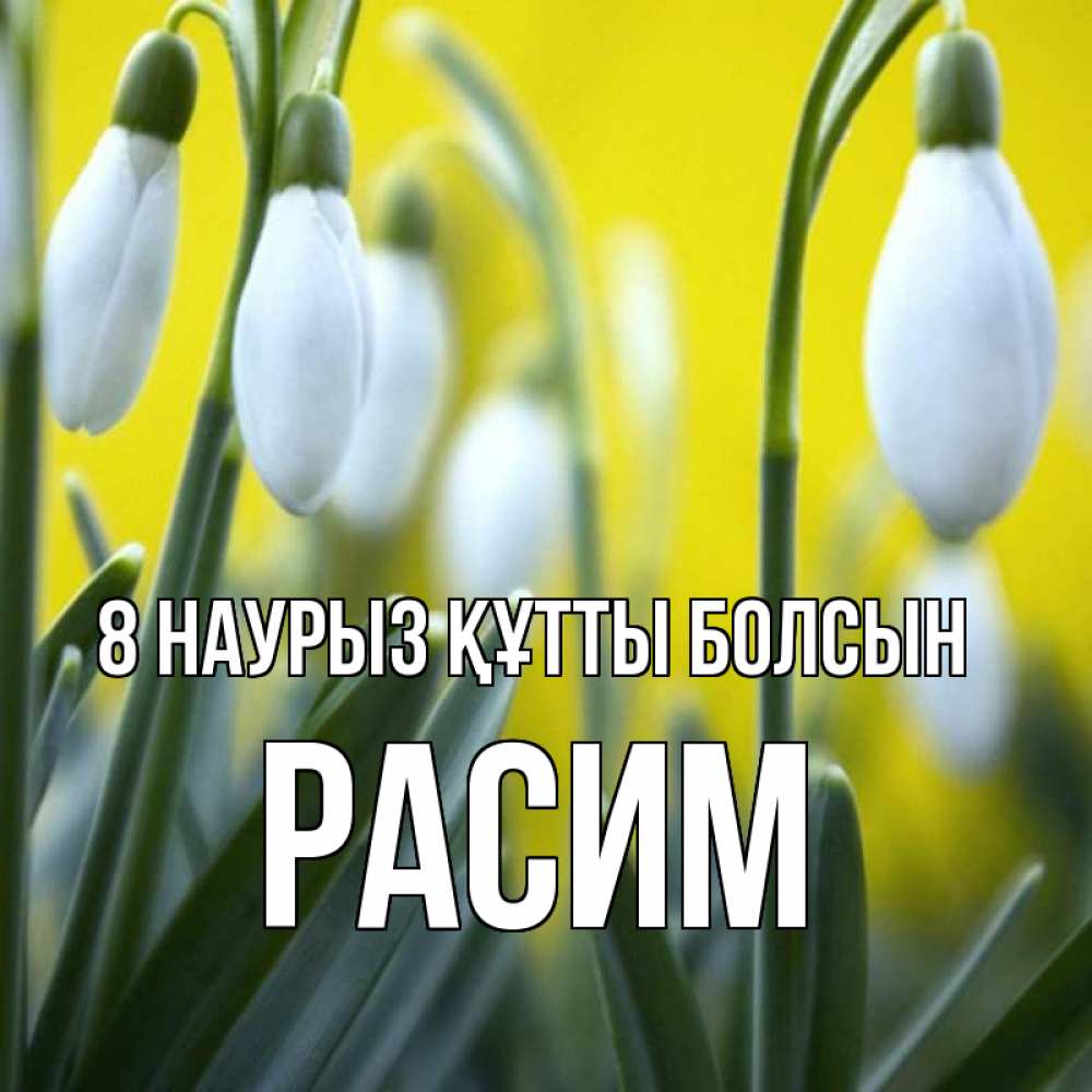 Күн сайын ашық хат с именем, Расим 8 наурыз құтты болсын весенние цветы Онлайн тегін жүктеп алу тілектері бар керемет карта 