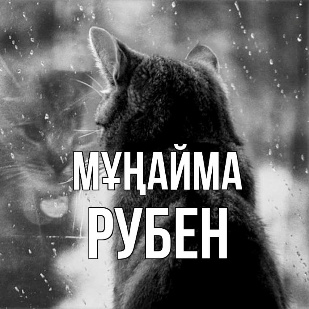 Күн сайын ашық хат с именем, Рубен Мұңайма отражение кота 1 Онлайн тегін жүктеп алу тілектері бар керемет карта 