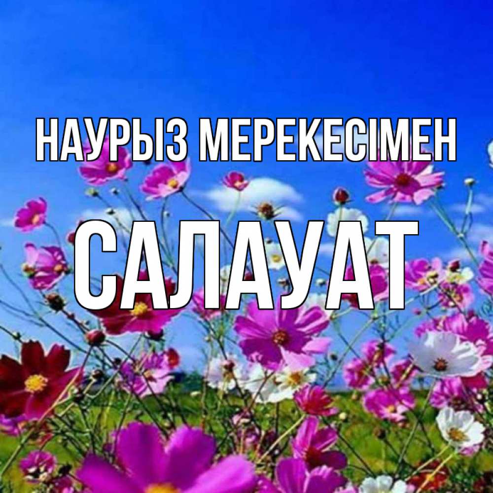 Күн сайын ашық хат с именем, САЛАУАТ Наурыз мерекесімен цветы Онлайн тегін жүктеп алу тілектері бар керемет карта 