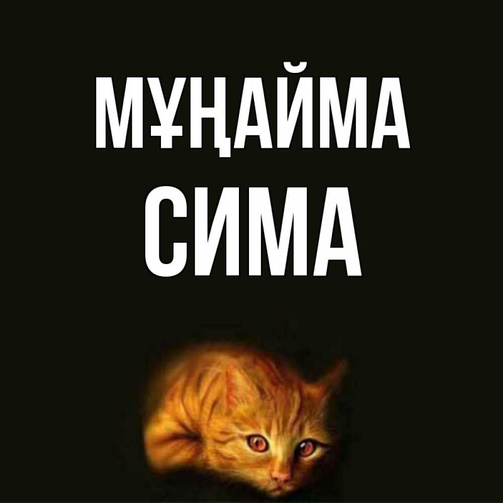 Күн сайын ашық хат с именем, Сима Мұңайма лежащий кот в темноте Онлайн тегін жүктеп алу тілектері бар керемет карта 