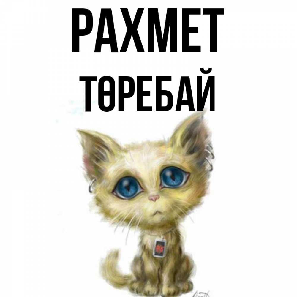 Күн сайын ашық хат с именем, Төребай рахмет рисованный кот благодарит вас Онлайн тегін жүктеп алу тілектері бар керемет карта 