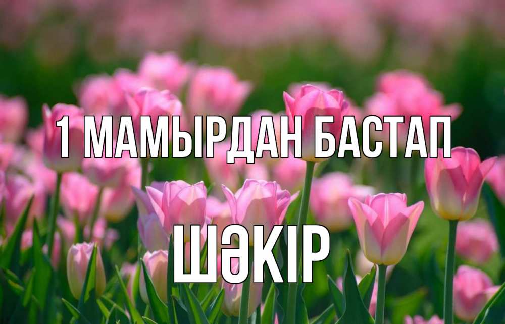 Күн сайын ашық хат с именем, ШӘКІР 1 мамырдан бастап С 1 мая Онлайн тегін жүктеп алу тілектері бар керемет карта 