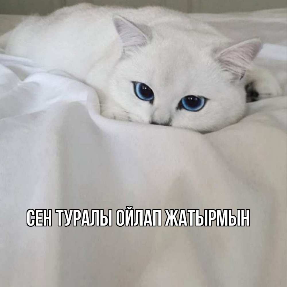 Күн сайын ашық хат с именем, выберите-имя Сен туралы ойлап жатырмын я очень по тебе скучаю и тоскую Онлайн тегін жүктеп алу тілектері бар керемет карта 