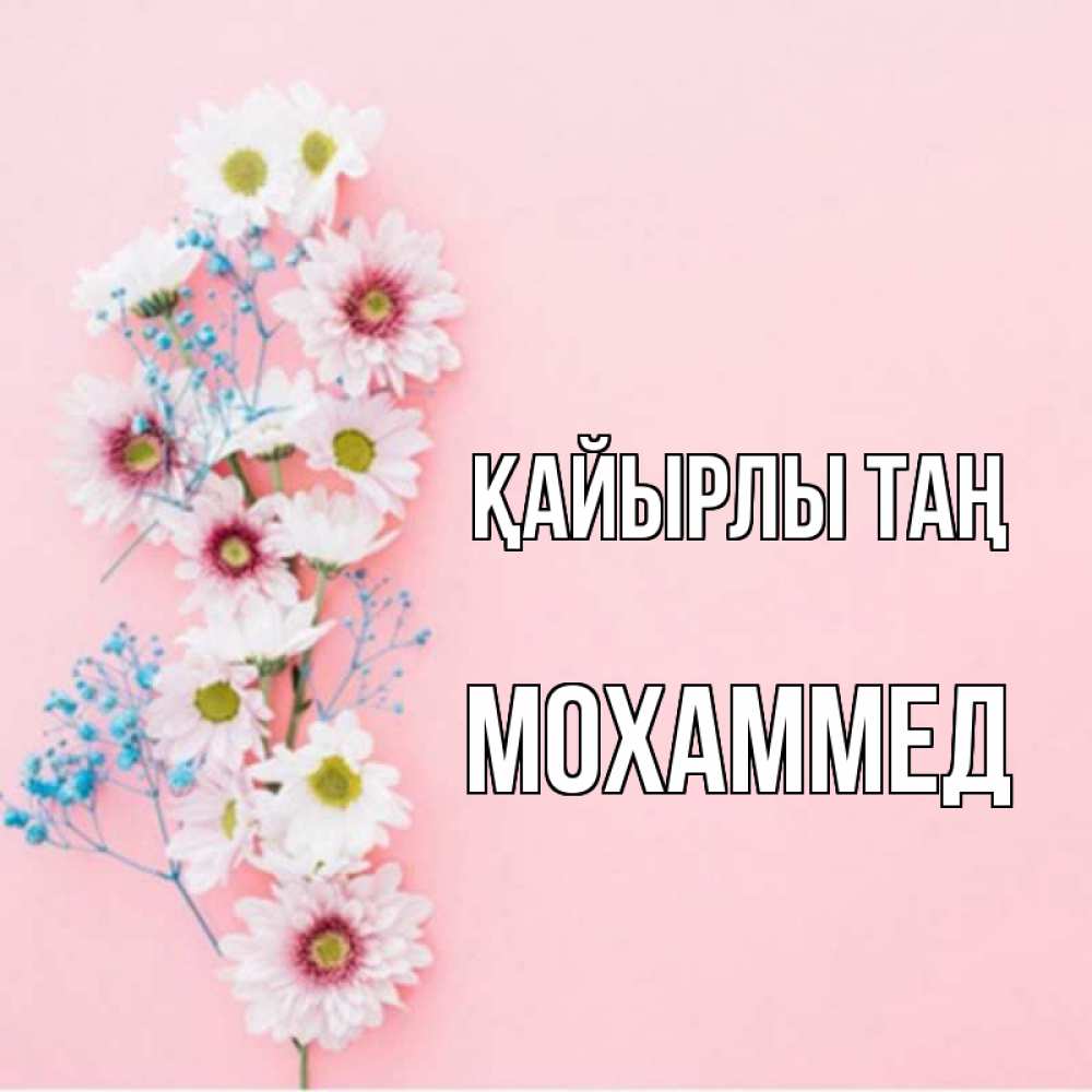 Күн сайын ашық хат с именем, Мохаммед Қайырлы таң цветы с подписью Онлайн тегін жүктеп алу тілектері бар керемет карта 