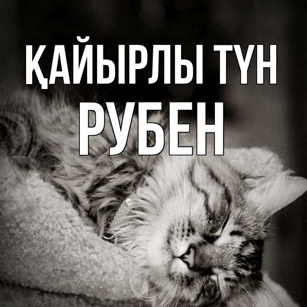 Күн сайын ашық хат с именем, Рубен Қайырлы түн котярик пушистый Онлайн тегін жүктеп алу тілектері бар керемет карта 