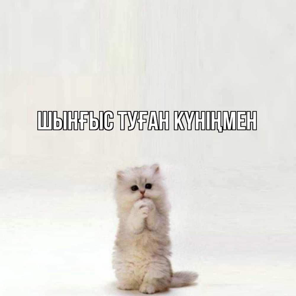 Картинка  с именем , ШЫНҒЫС! ТУҒАН КҮНІҢМЕН!