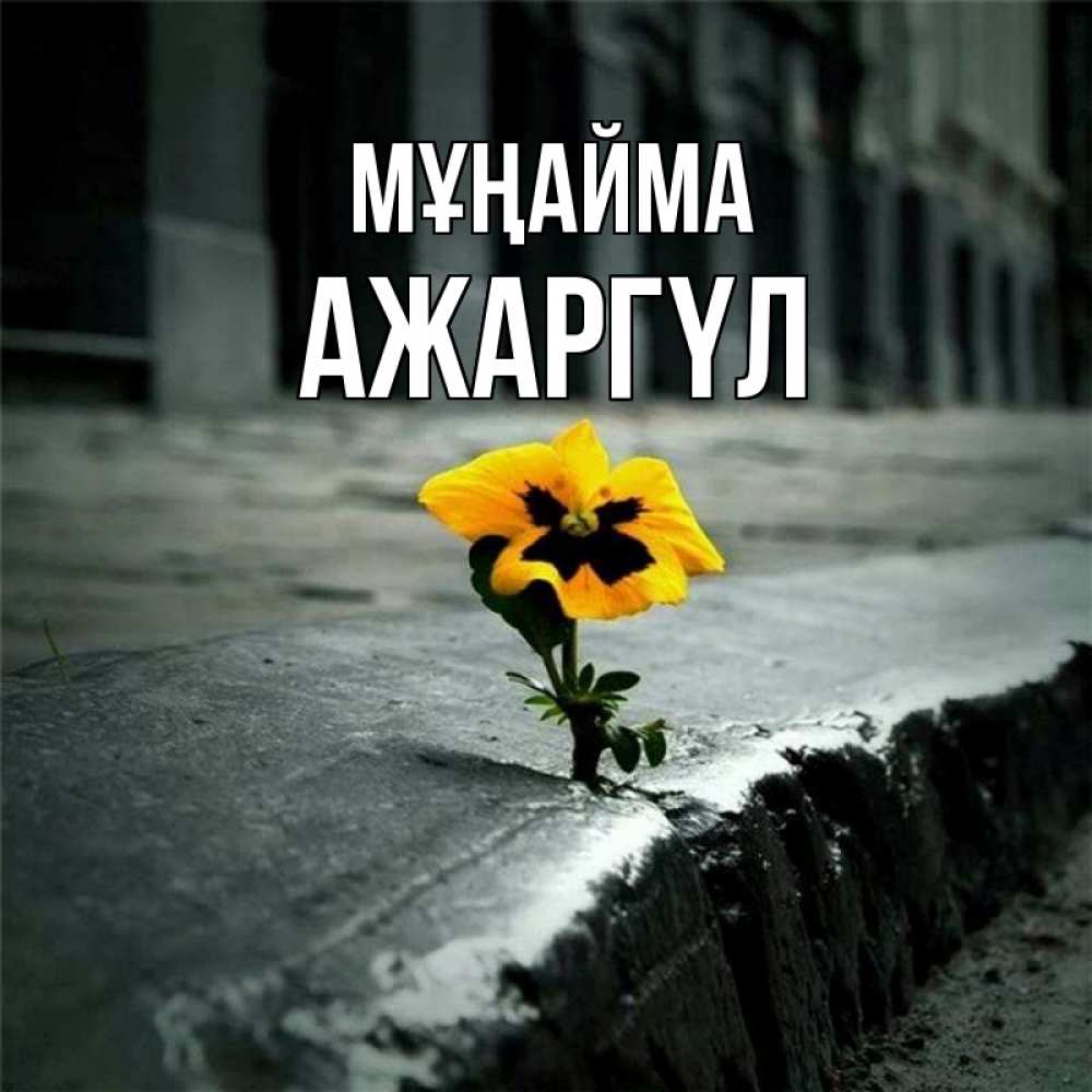 Күн сайын ашық хат с именем, АЖАРГҮЛ Мұңайма не сдавайся Онлайн тегін жүктеп алу тілектері бар керемет карта 