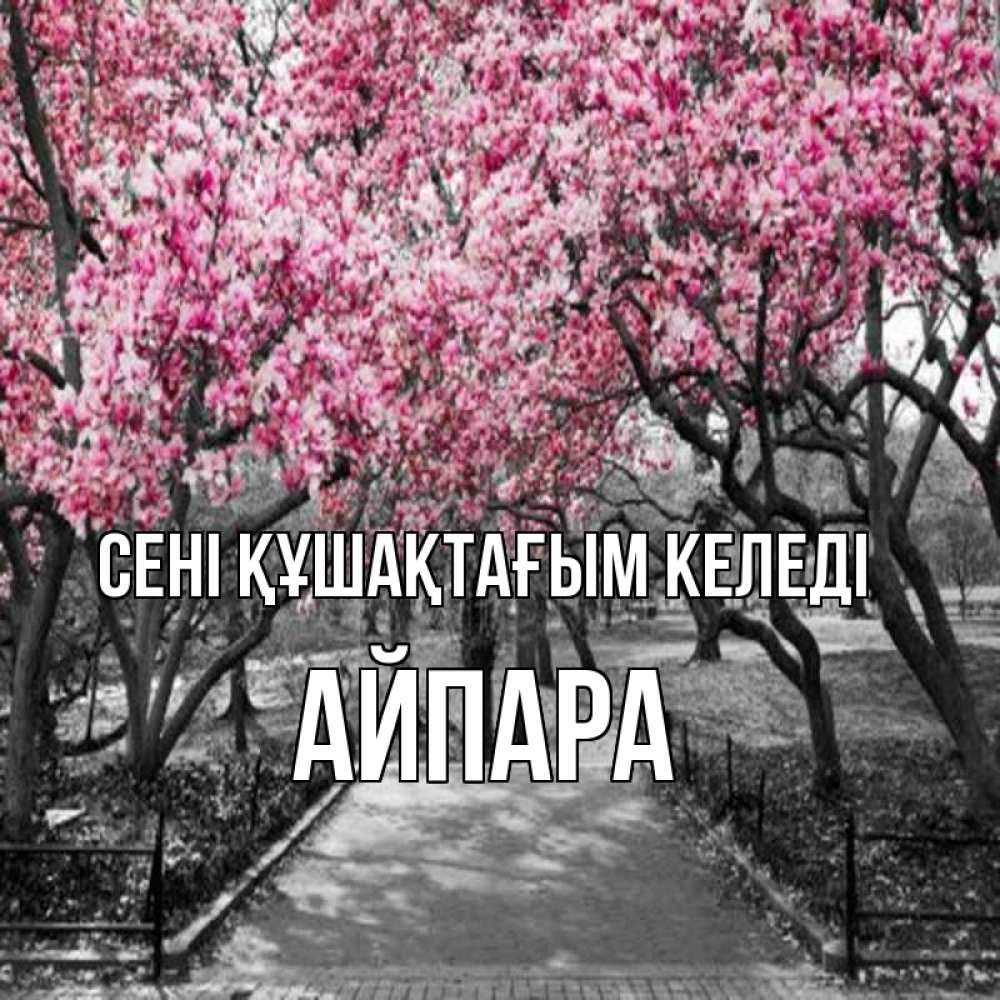 Күн сайын ашық хат с именем, АЙПАРА сені құшақтағым келеді обработанное фото Онлайн тегін жүктеп алу тілектері бар керемет карта 