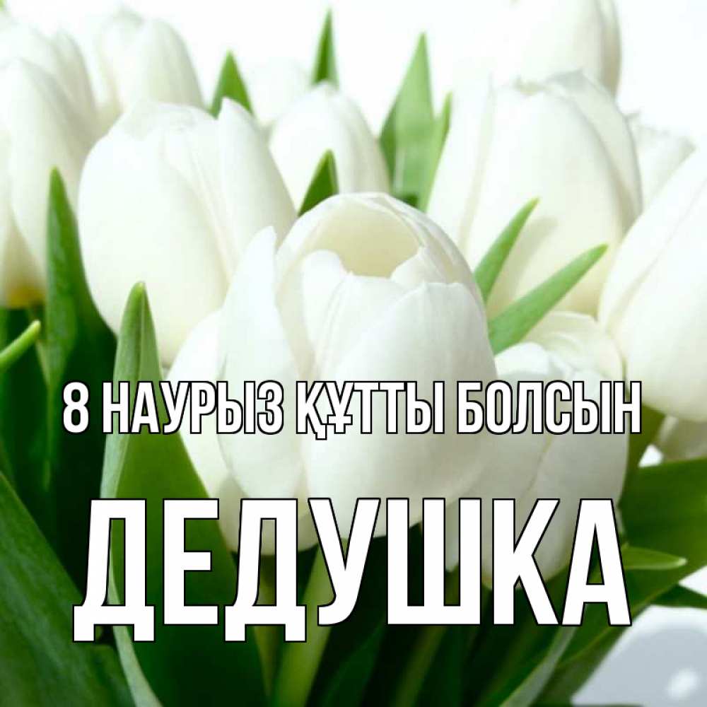 Күн сайын ашық хат с именем, Дедушка 8 наурыз құтты болсын цветы Онлайн тегін жүктеп алу тілектері бар керемет карта 