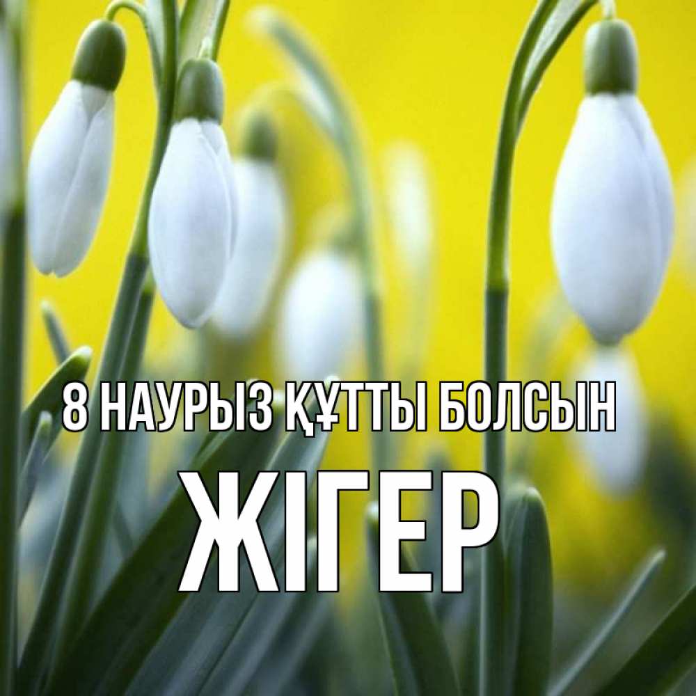 Күн сайын ашық хат с именем, Жігер 8 наурыз құтты болсын весенние цветы Онлайн тегін жүктеп алу тілектері бар керемет карта 