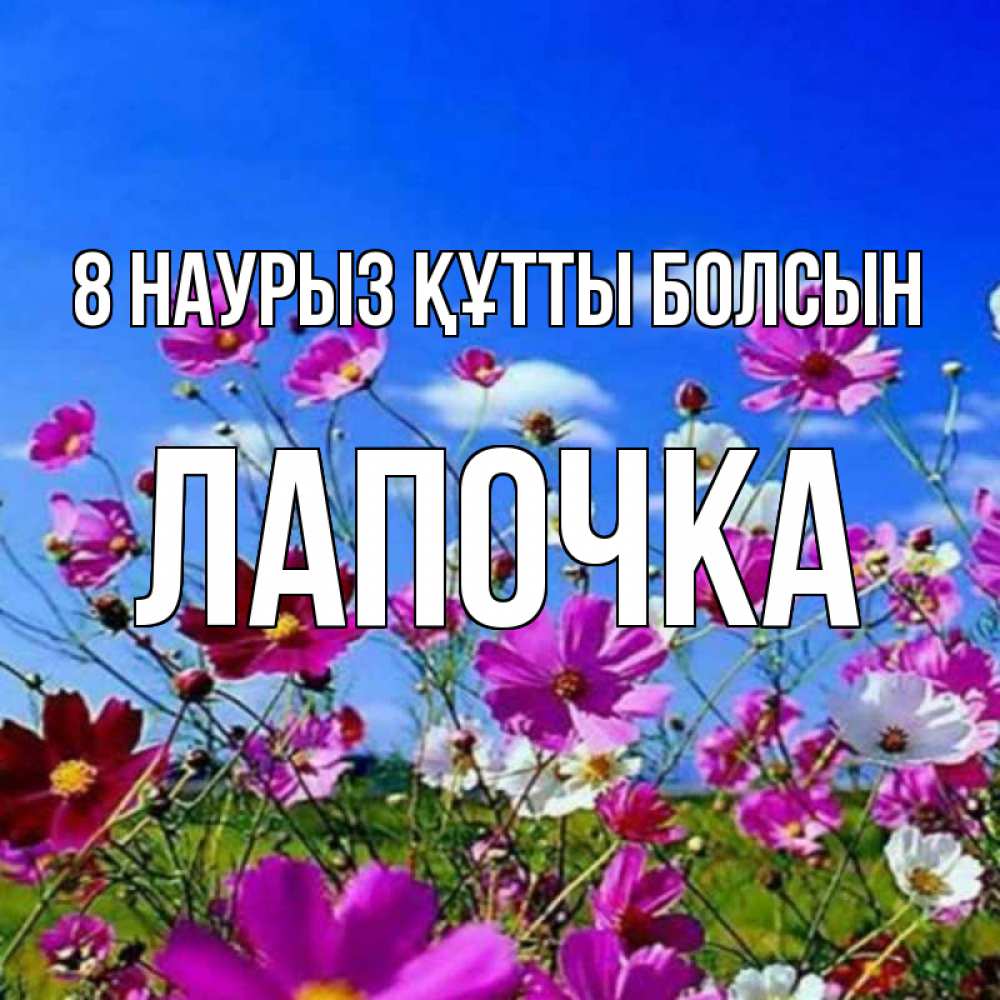 Күн сайын ашық хат с именем, Лапочка 8 наурыз құтты болсын цветы Онлайн тегін жүктеп алу тілектері бар керемет карта 