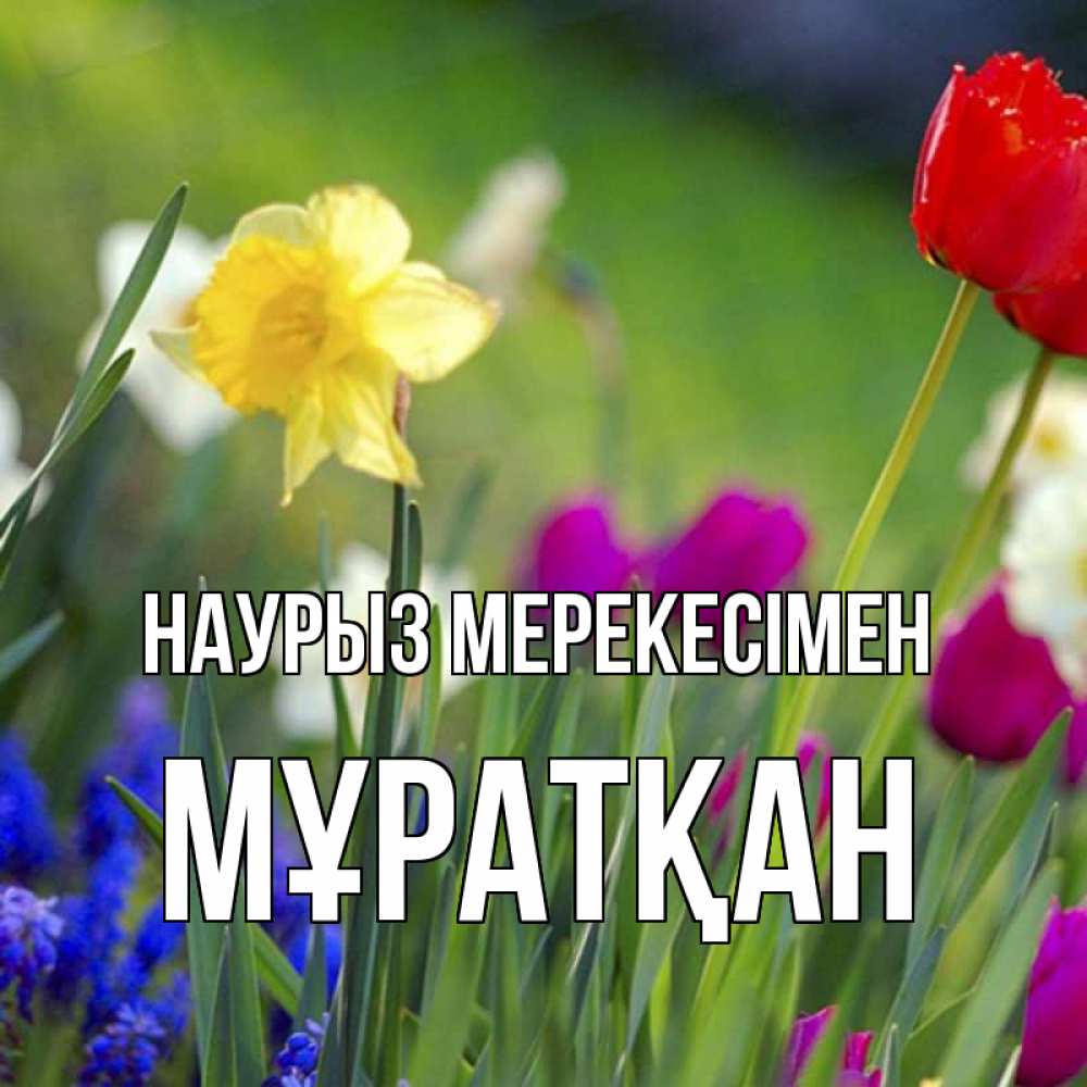 Күн сайын ашық хат с именем, Мұратқан Наурыз мерекесімен праздник весны наурыз 3 Онлайн тегін жүктеп алу тілектері бар керемет карта 