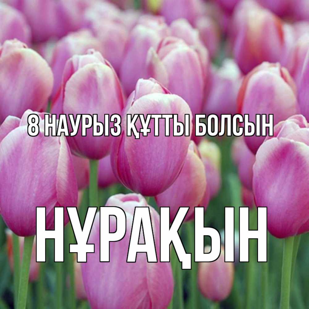Күн сайын ашық хат с именем, НҰРАҚЫН 8 наурыз құтты болсын на международный женский день 3 Онлайн тегін жүктеп алу тілектері бар керемет карта 