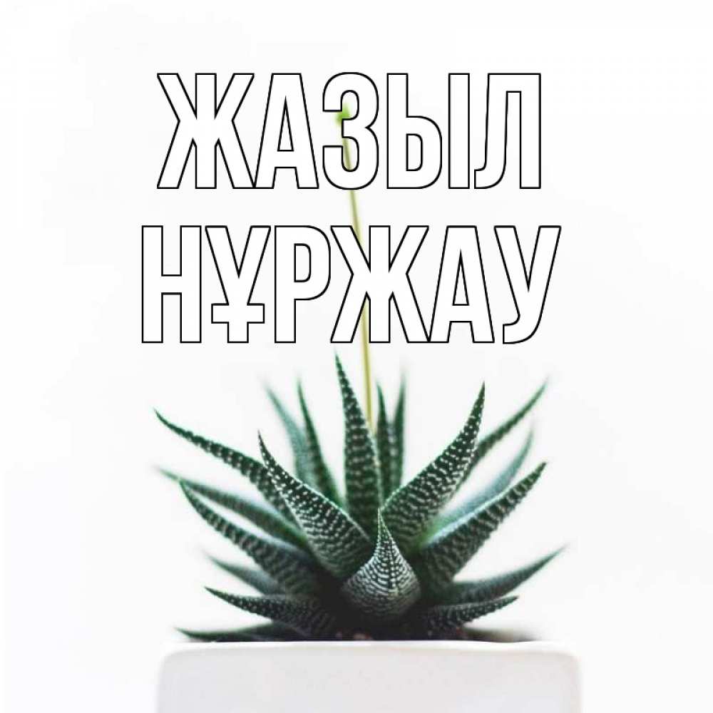 Күн сайын ашық хат с именем, НҰРЖАУ Жазыл короче это непонятная колючка Онлайн тегін жүктеп алу тілектері бар керемет карта 