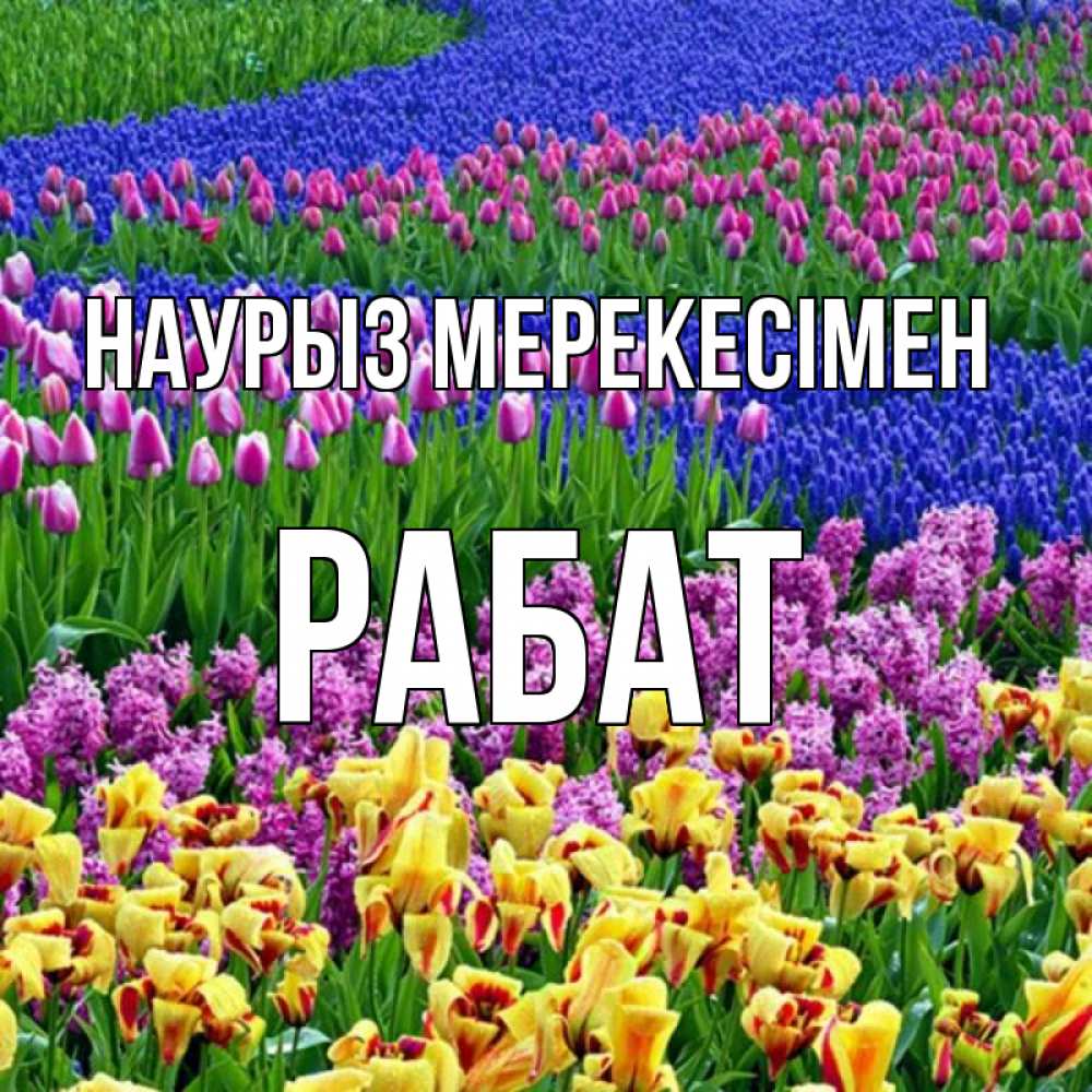 Күн сайын ашық хат с именем, РАБАТ Наурыз мерекесімен цветы Онлайн тегін жүктеп алу тілектері бар керемет карта 