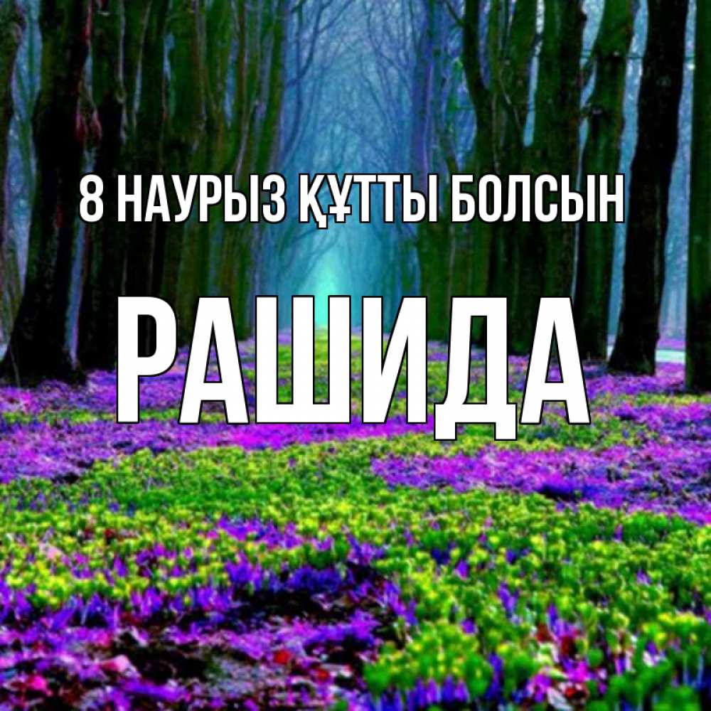 Күн сайын ашық хат с именем, РАШИДА 8 наурыз құтты болсын фиолетовые цветы в лесу 1 Онлайн тегін жүктеп алу тілектері бар керемет карта 