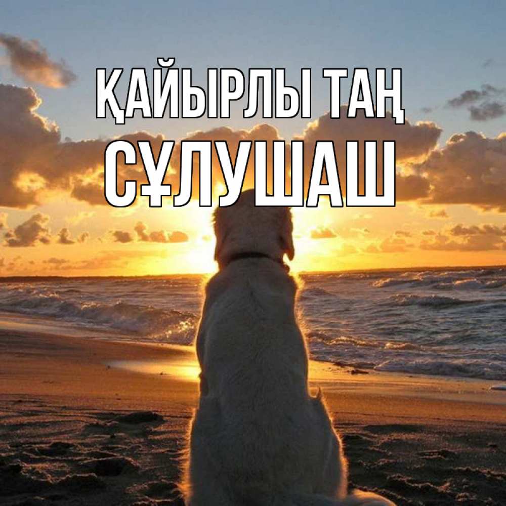 Күн сайын ашық хат с именем, СҰЛУШАШ Қайырлы таң восход солнца Онлайн тегін жүктеп алу тілектері бар керемет карта 