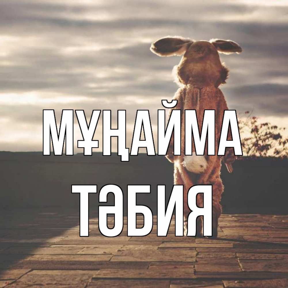 Күн сайын ашық хат с именем, ТӘБИЯ Мұңайма со спины Онлайн тегін жүктеп алу тілектері бар керемет карта 