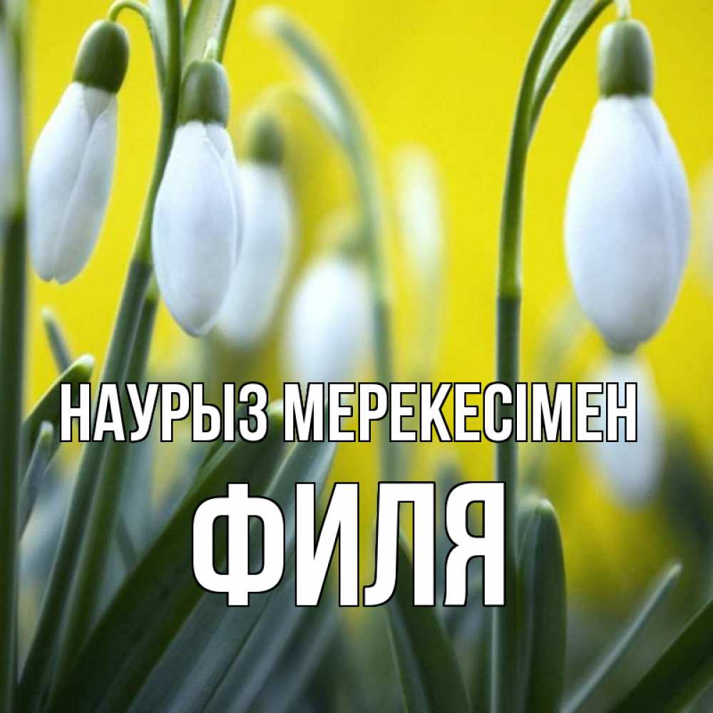 Күн сайын ашық хат с именем, Филя Наурыз мерекесімен весенние цветы Онлайн тегін жүктеп алу тілектері бар керемет карта 