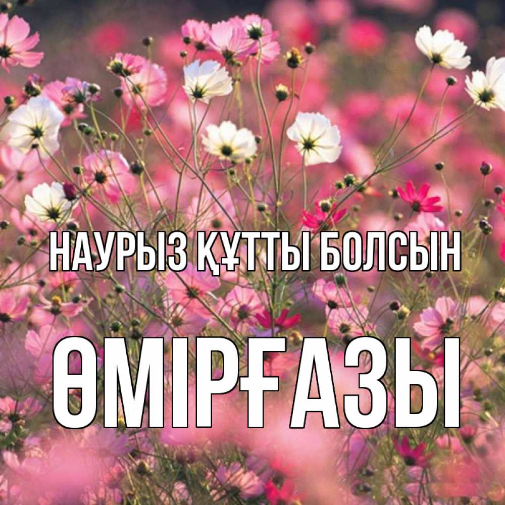 Күн сайын ашық хат с именем, ӨМІРҒАЗЫ Наурыз құтты болсын красиво 1 Онлайн тегін жүктеп алу тілектері бар керемет карта 