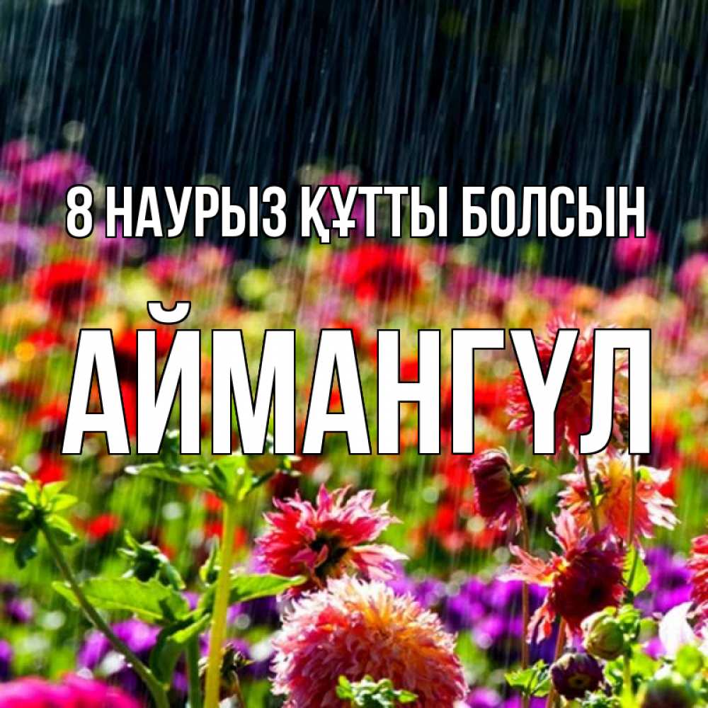 Күн сайын ашық хат с именем, Аймангүл 8 наурыз құтты болсын цветы под дождиком к международному женскому дню Онлайн тегін жүктеп алу тілектері бар керемет карта 