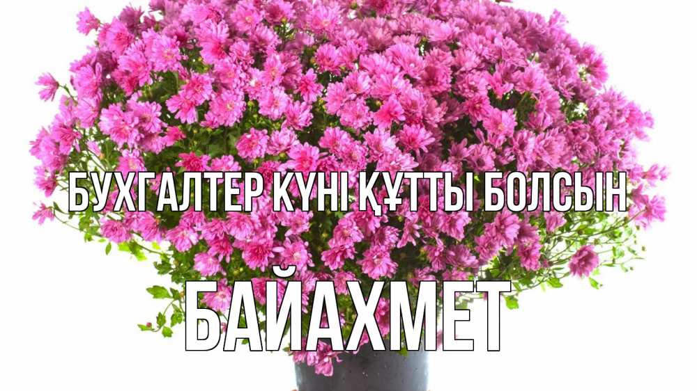 Күн сайын ашық хат с именем, Байахмет бухгалтер күні құтты болсын с днем бухгалтера Онлайн тегін жүктеп алу тілектері бар керемет карта 