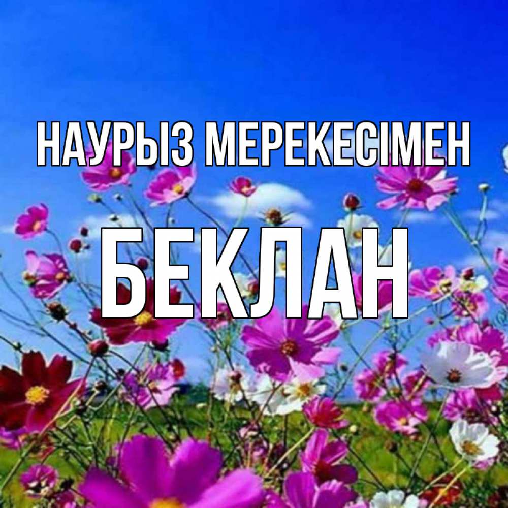 Күн сайын ашық хат с именем, Беклан Наурыз мерекесімен цветы Онлайн тегін жүктеп алу тілектері бар керемет карта 