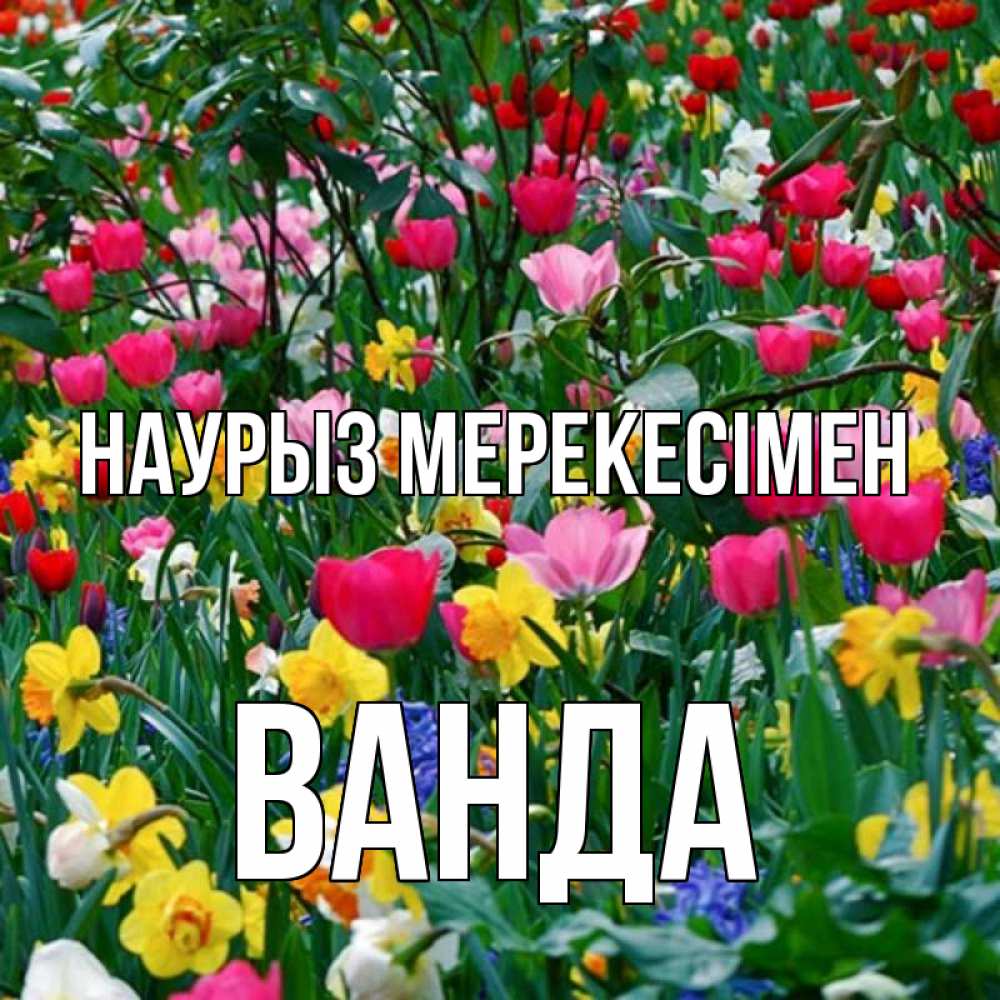 Күн сайын ашық хат с именем, Ванда Наурыз мерекесімен с наурызом праздником весны поздравления для женщины Онлайн тегін жүктеп алу тілектері бар керемет карта 