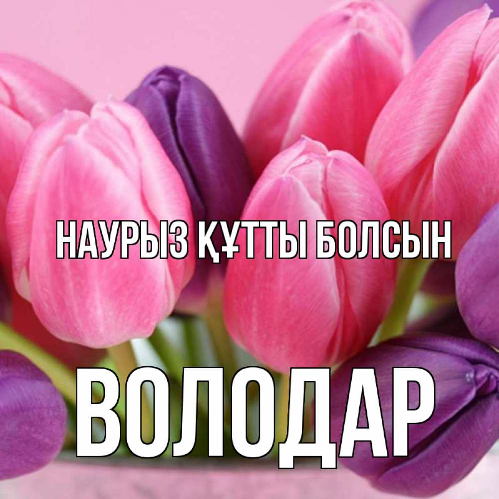 Күн сайын ашық хат с именем, Володар Наурыз құтты болсын маме 1 Онлайн тегін жүктеп алу тілектері бар керемет карта 