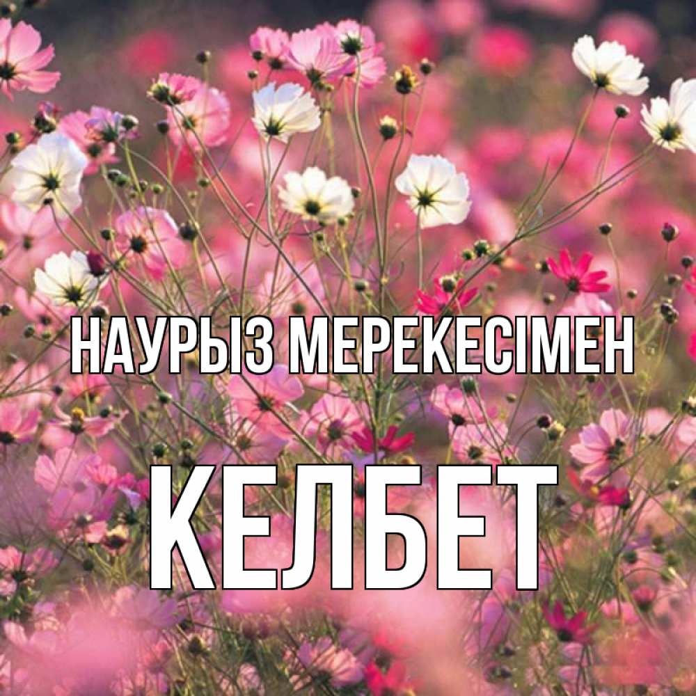 Күн сайын ашық хат с именем, КЕЛБЕТ Наурыз мерекесімен красиво 1 Онлайн тегін жүктеп алу тілектері бар керемет карта 