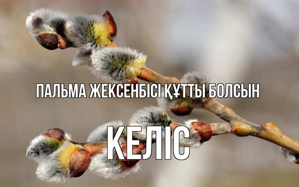 Күн сайын ашық хат с именем, Келіс Пальма жексенбісі құтты болсын Верба Онлайн тегін жүктеп алу тілектері бар керемет карта 