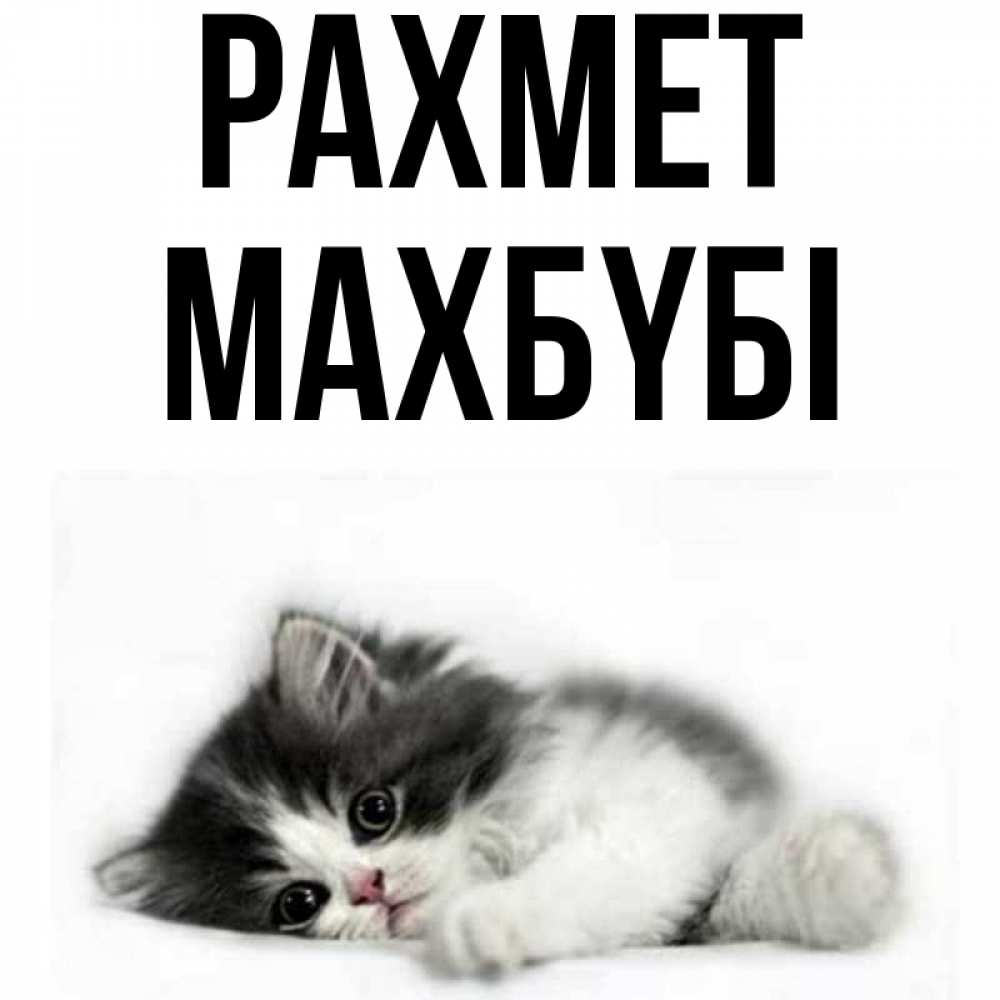 Күн сайын ашық хат с именем, МАХБҮБІ рахмет черный и белый кот Онлайн тегін жүктеп алу тілектері бар керемет карта 