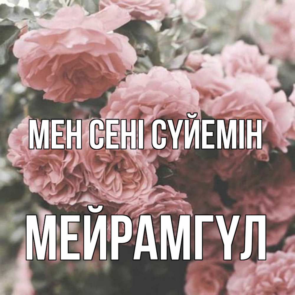 Күн сайын ашық хат с именем, МЕЙРАМГҮЛ Мен сені сүйемін розы 3 Онлайн тегін жүктеп алу тілектері бар керемет карта 