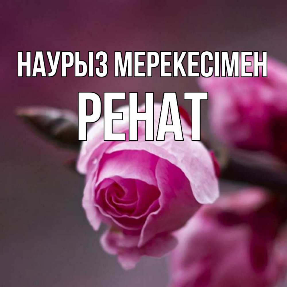 Күн сайын ашық хат с именем, РЕНАТ Наурыз мерекесімен весна Онлайн тегін жүктеп алу тілектері бар керемет карта 