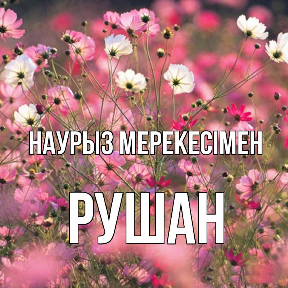 Күн сайын ашық хат с именем, Рушан Наурыз мерекесімен красиво 1 Онлайн тегін жүктеп алу тілектері бар керемет карта 