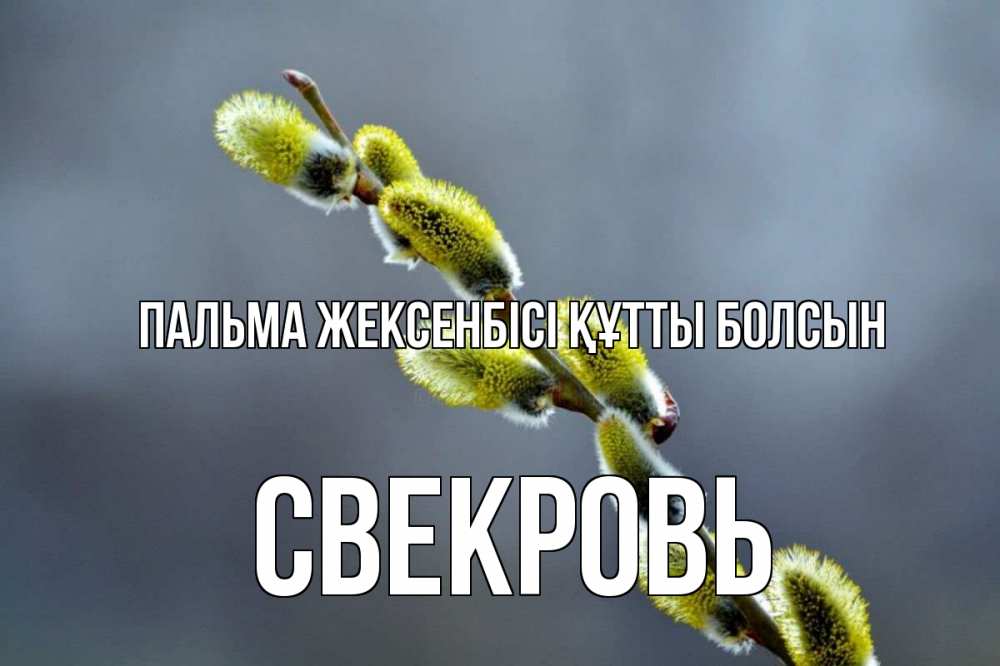 Күн сайын ашық хат с именем, Свекровь Пальма жексенбісі құтты болсын верба Онлайн тегін жүктеп алу тілектері бар керемет карта 
