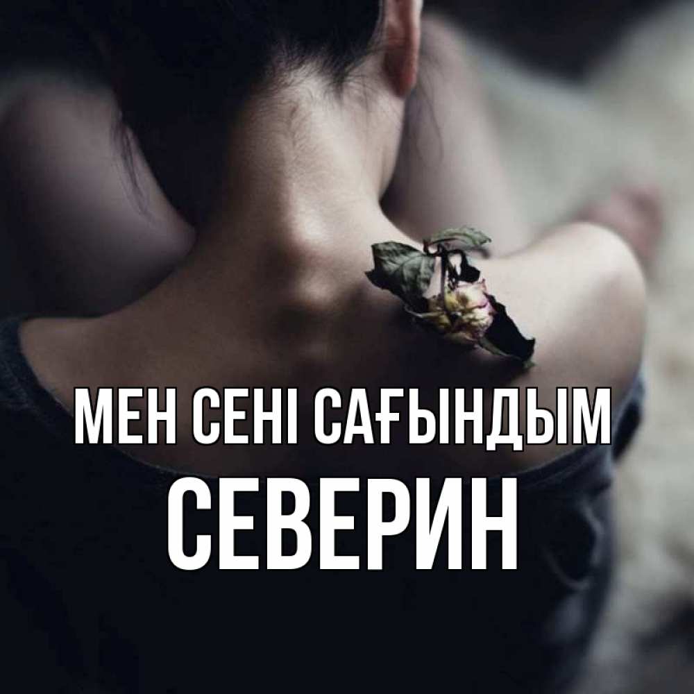 Күн сайын ашық хат с именем, Северин Мен сені сағындым засох цветок Онлайн тегін жүктеп алу тілектері бар керемет карта 