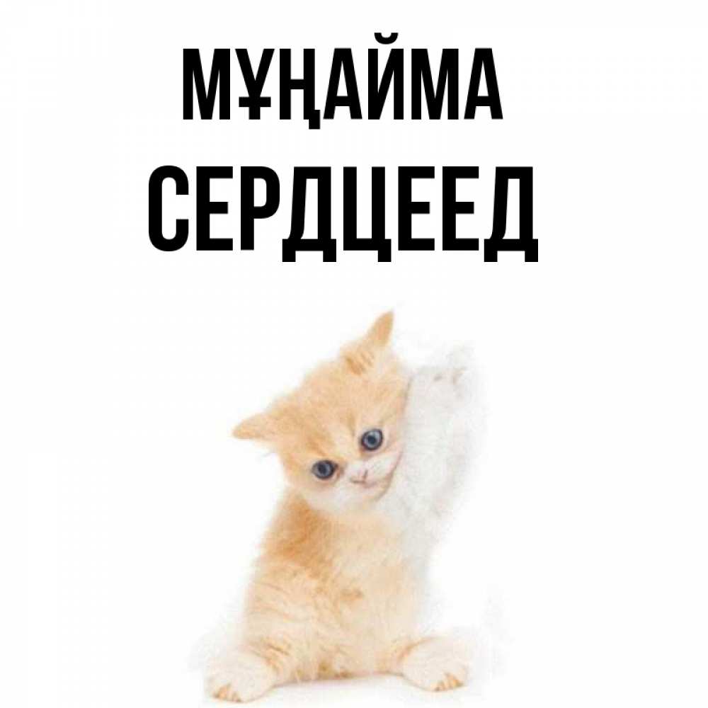 Күн сайын ашық хат с именем, Сердцеед Мұңайма просящий кот Онлайн тегін жүктеп алу тілектері бар керемет карта 