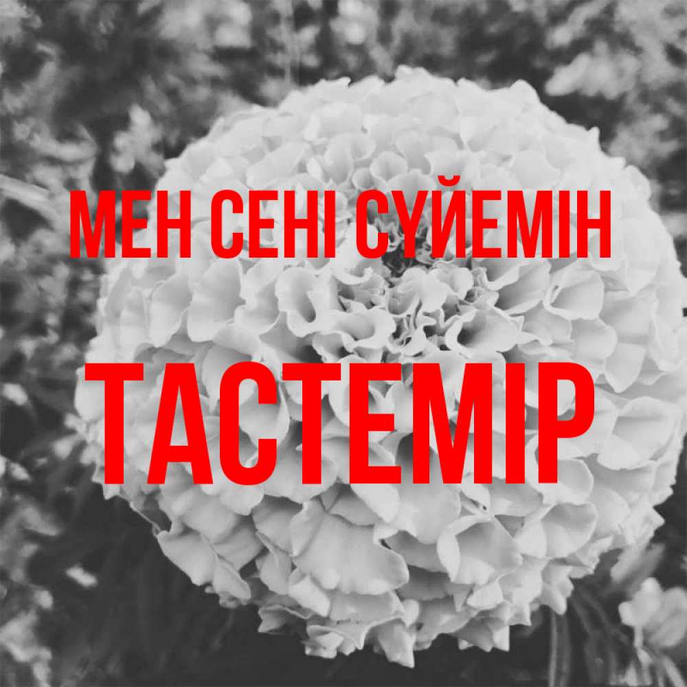 Күн сайын ашық хат с именем, ТАСТЕМІР Мен сені сүйемін подпись Онлайн тегін жүктеп алу тілектері бар керемет карта 