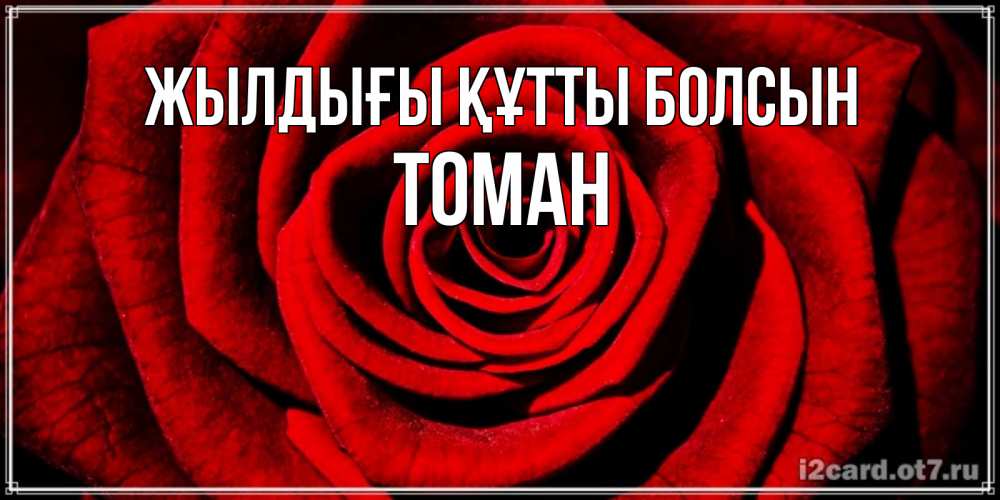 Күн сайын ашық хат с именем, ТОМАН Жылдығы құтты болсын алая роза Онлайн тегін жүктеп алу тілектері бар керемет карта 