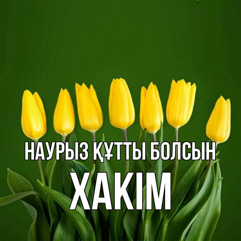Күн сайын ашық хат с именем, ХАКІМ Наурыз құтты болсын желтого цвета 3 Онлайн тегін жүктеп алу тілектері бар керемет карта 