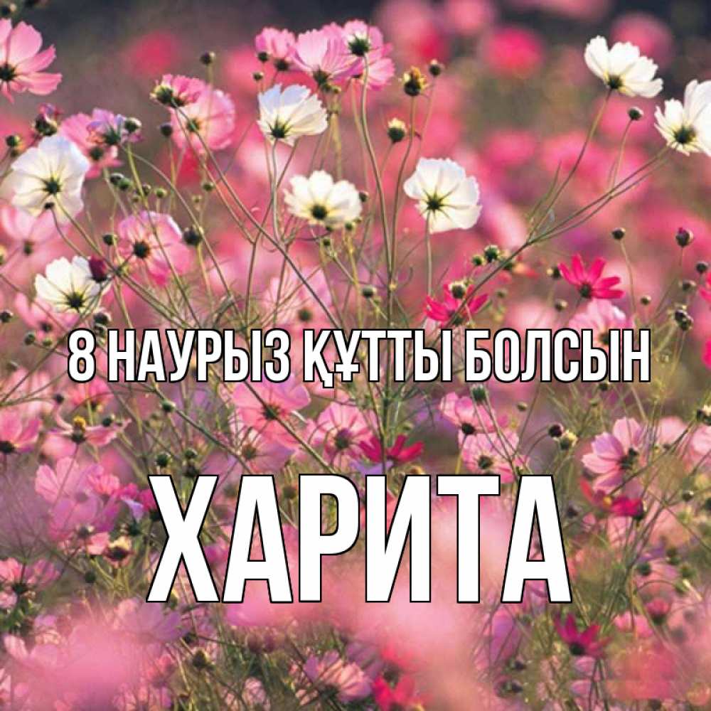 Күн сайын ашық хат с именем, Харита 8 наурыз құтты болсын красиво 1 Онлайн тегін жүктеп алу тілектері бар керемет карта 