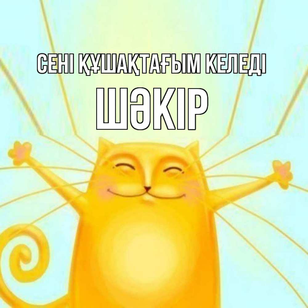 Күн сайын ашық хат с именем, ШӘКІР сені құшақтағым келеді солнечный обнимашечный кот Онлайн тегін жүктеп алу тілектері бар керемет карта 
