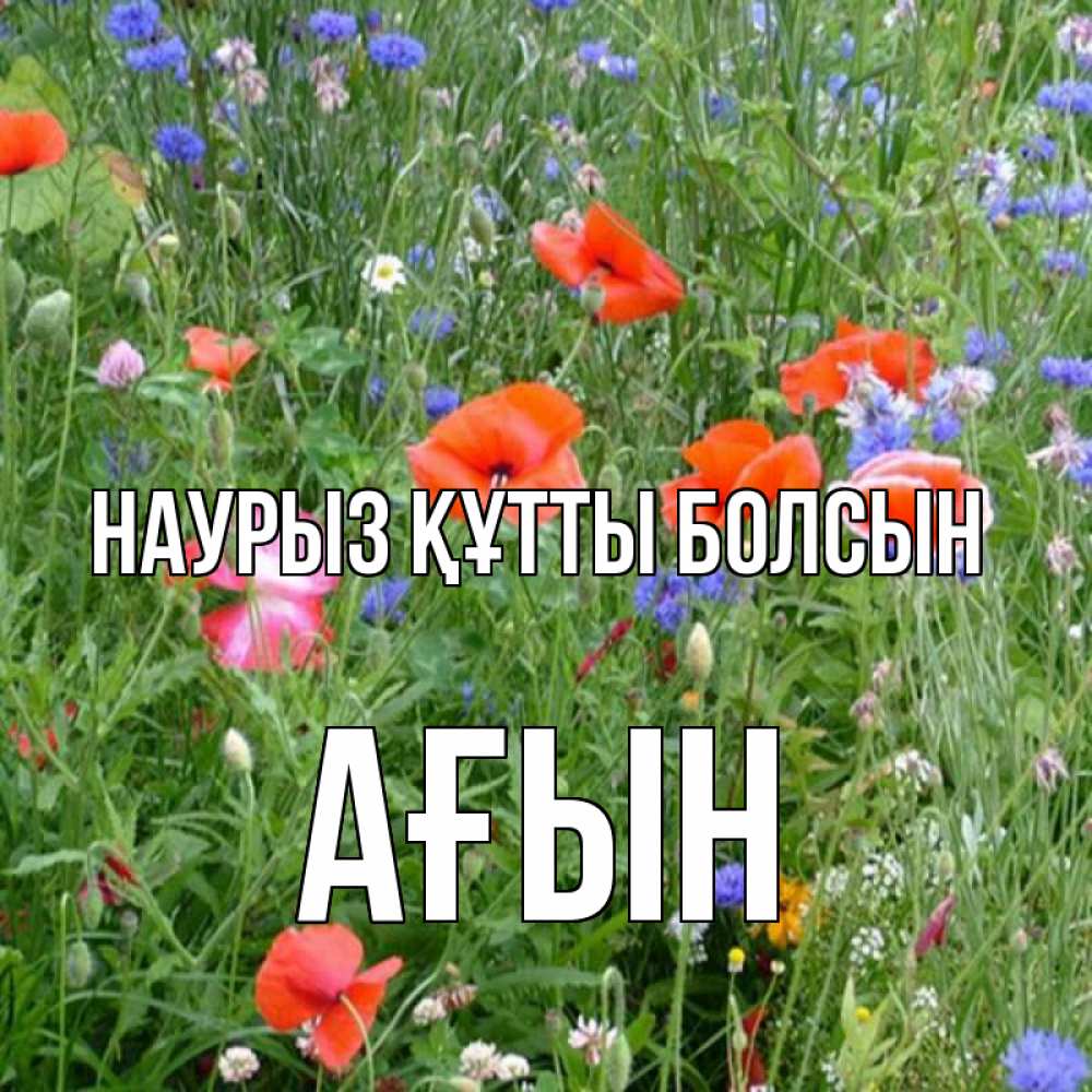 Күн сайын ашық хат с именем, Ағын Наурыз құтты болсын наурыз  4 Онлайн тегін жүктеп алу тілектері бар керемет карта 