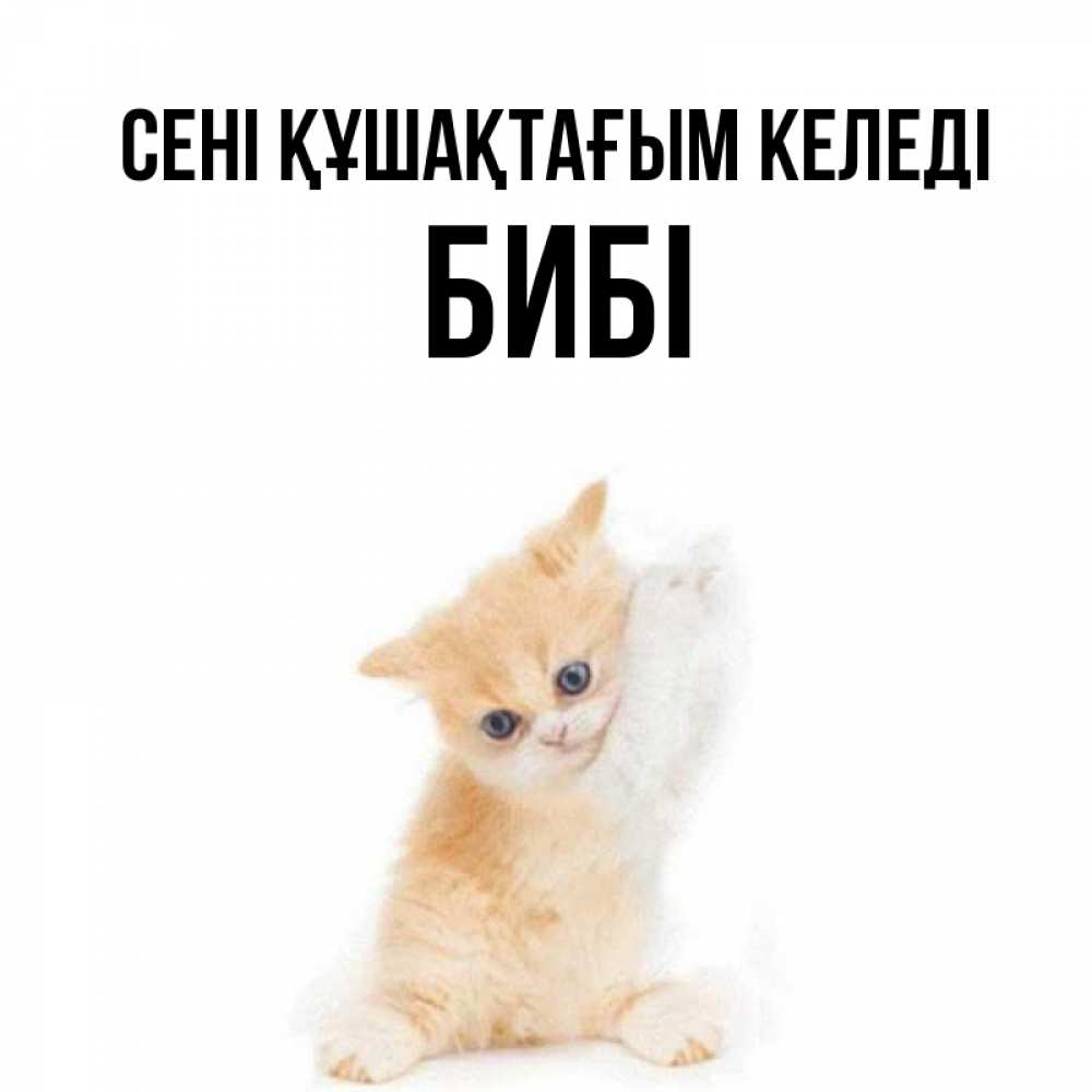 Күн сайын ашық хат с именем, БИБІ сені құшақтағым келеді я хочу очень скорее обнимаешек Онлайн тегін жүктеп алу тілектері бар керемет карта 