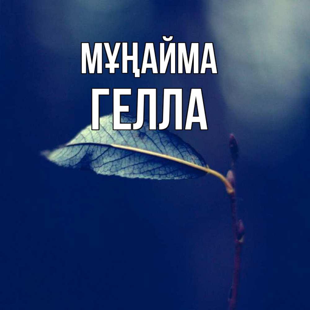 Күн сайын ашық хат с именем, Гелла Мұңайма растение Онлайн тегін жүктеп алу тілектері бар керемет карта 