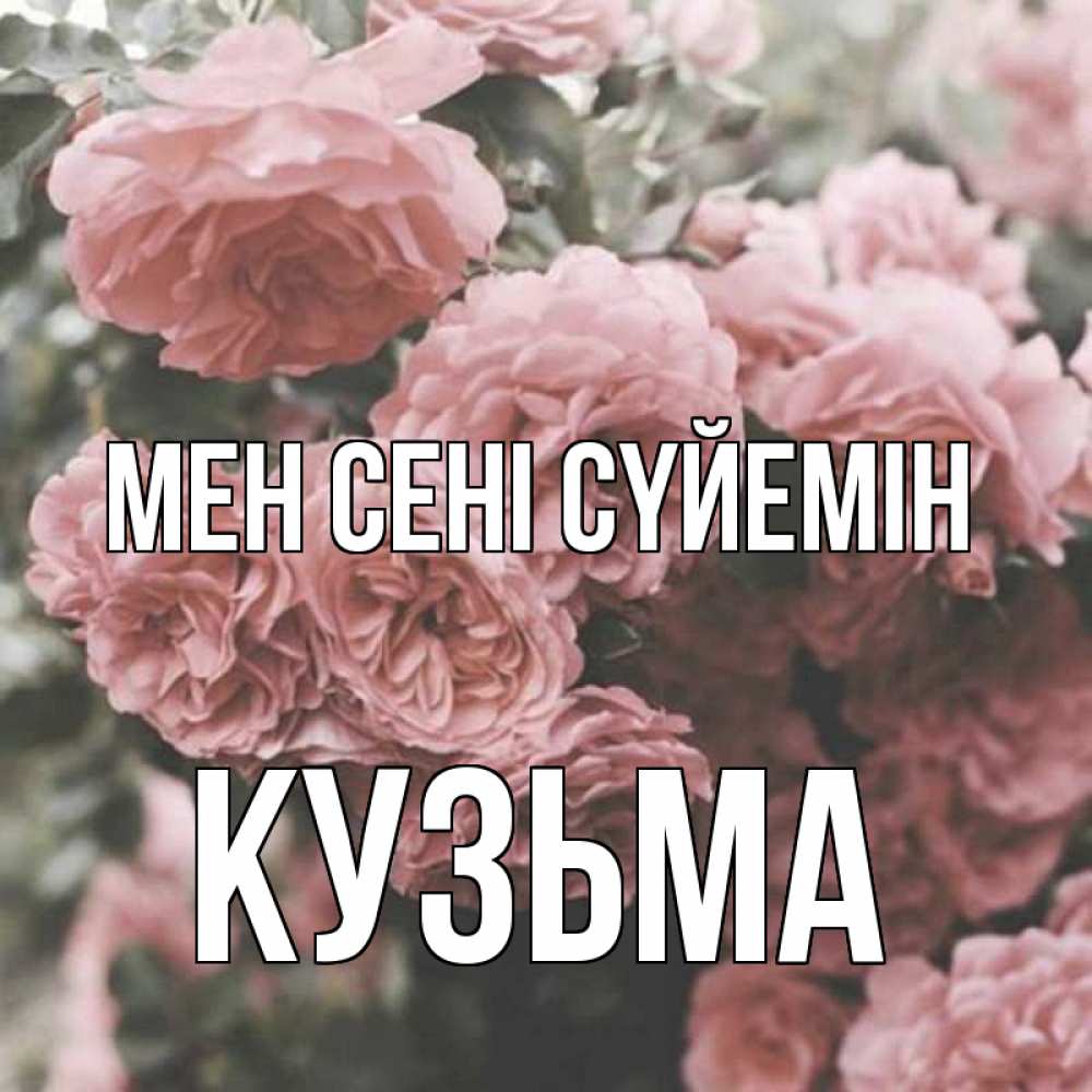 Күн сайын ашық хат с именем, Кузьма Мен сені сүйемін розы 3 Онлайн тегін жүктеп алу тілектері бар керемет карта 