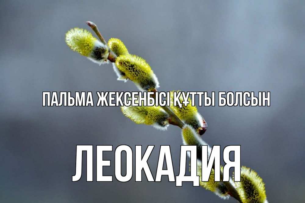 Күн сайын ашық хат с именем, Леокадия Пальма жексенбісі құтты болсын верба Онлайн тегін жүктеп алу тілектері бар керемет карта 