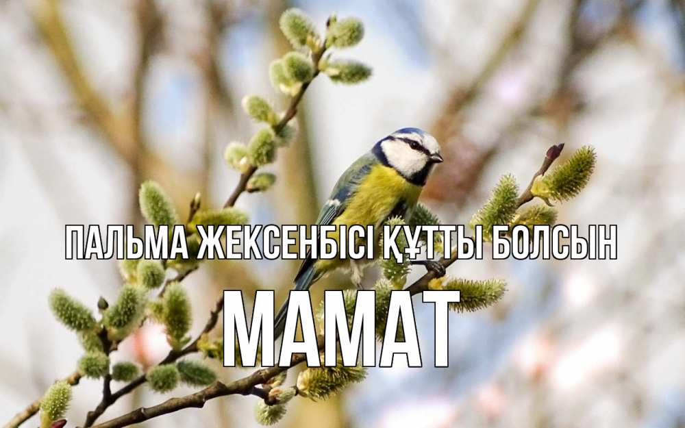 Күн сайын ашық хат с именем, МАМАТ Пальма жексенбісі құтты болсын верба Онлайн тегін жүктеп алу тілектері бар керемет карта 