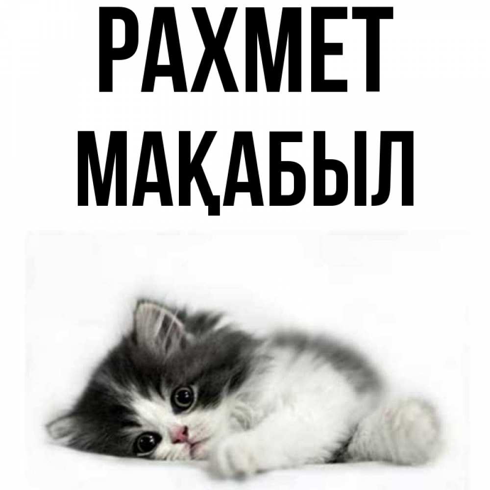Күн сайын ашық хат с именем, МАҚАБЫЛ рахмет черный и белый кот Онлайн тегін жүктеп алу тілектері бар керемет карта 